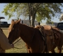 Walker_S01E02_0814.jpg