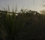 Walker109_0094.jpg